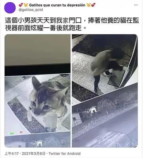 女生拍妩媚舞蹈视频结果腿抽筋意外爆火！姑娘你是那种人但不是那块料啊哈哈 - 31