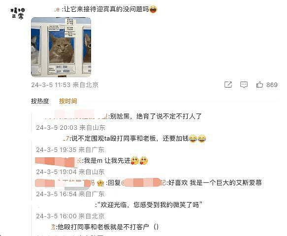 公示栏简直没谁了,卧龙凤雏都不敢这样贴猫,网友:这是要笑死! - 11