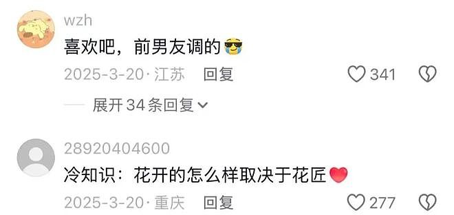 老婆漂亮还会跳舞千万别发网上炫耀,视频评论太过份了：简直杀人诛心 - 3