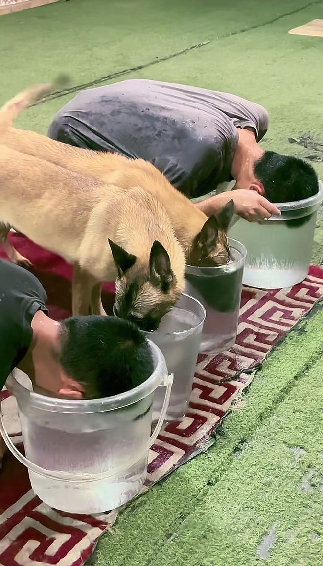 训导员和搜救犬比憋气，没想到为了赢居然作弊……狗子气得破口大骂：你这个老6，你才是真的狗啊！ - 12