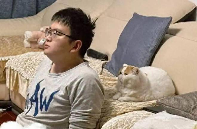 猫和老公一起看电视时同步回头，主人瞬间发现了真相：原来它们真的会偷偷拜师学艺… - 1