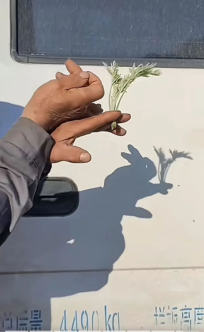 女生为啥喜欢找健身教练做男朋友？这真是又健身又省力啊哈哈 - 11