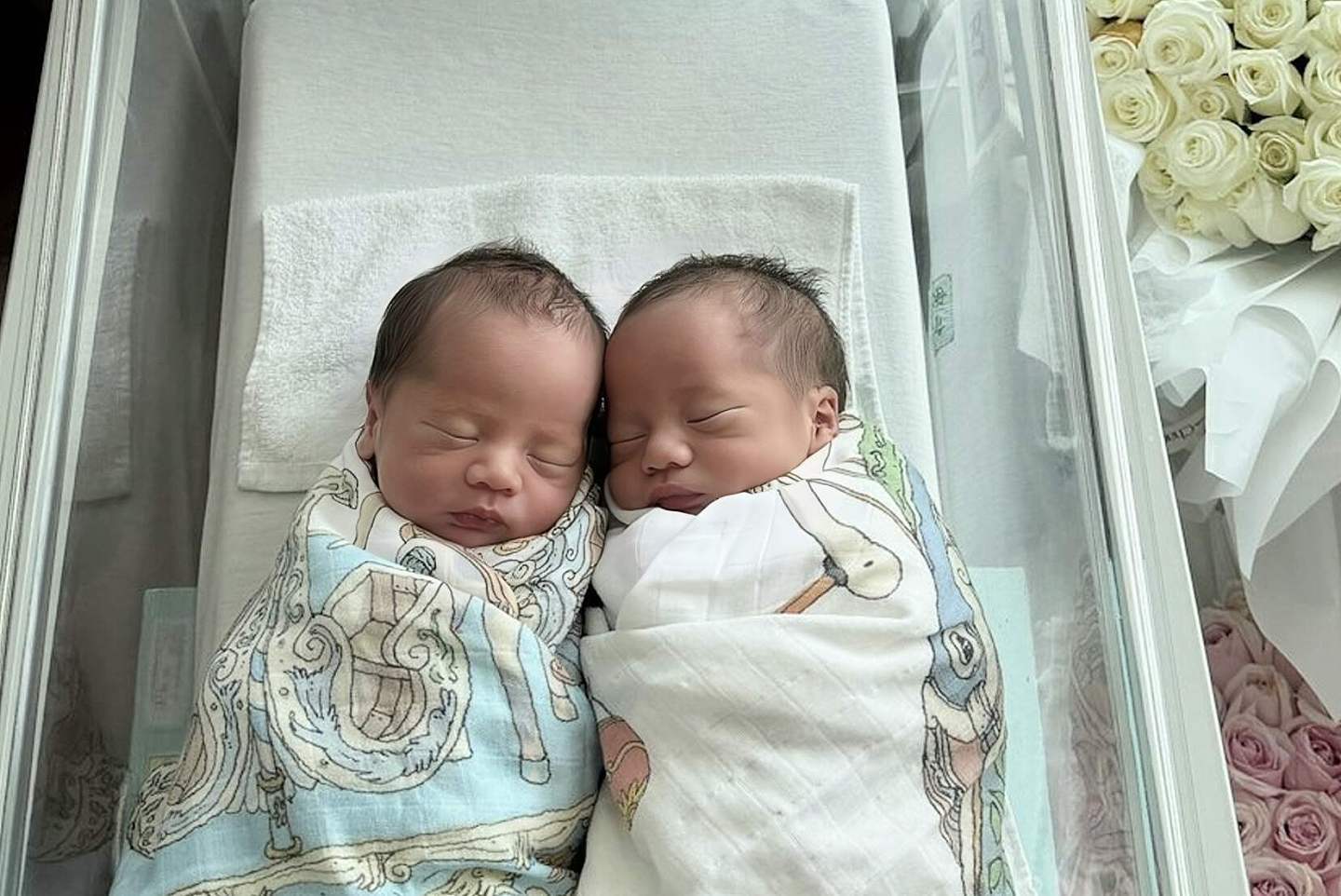 恭喜！香港名模宣布平安生下双胞胎，结婚七年靠做试管婴儿圆梦 - 3