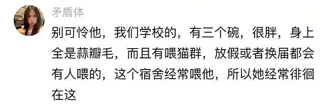 学姐毕业走了，流浪猫蹲在宿舍门口等了一整天，低着头不肯离开……喵：人，毕业了也不跟学长说一声 - 7