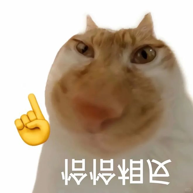 从路边一条逆袭成全网顶流的夜鹭，带抽象观鸟区走向大众？ - 3
