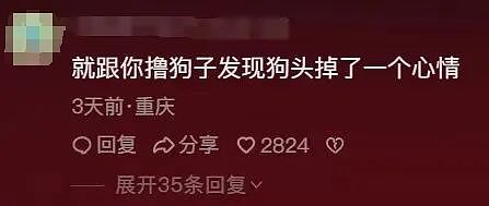狗狗和主人玩时不小心把他的“手”咬下来了，狗子当场吓傻，眼神里都是狗生走马灯！ - 2