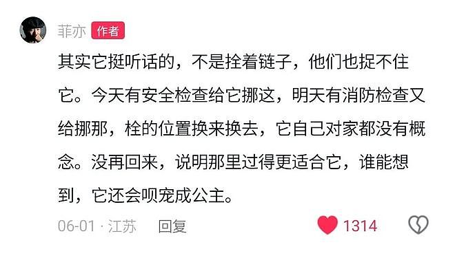 工地看门狗走丢10天，找到时它正躺在别人家装睡，结局看得很多网友都泪目了… - 5
