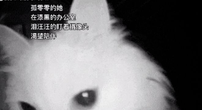 被裁员后别人收拾工位，她直接把大橘同事抱走了……这赔偿可还行？ - 6