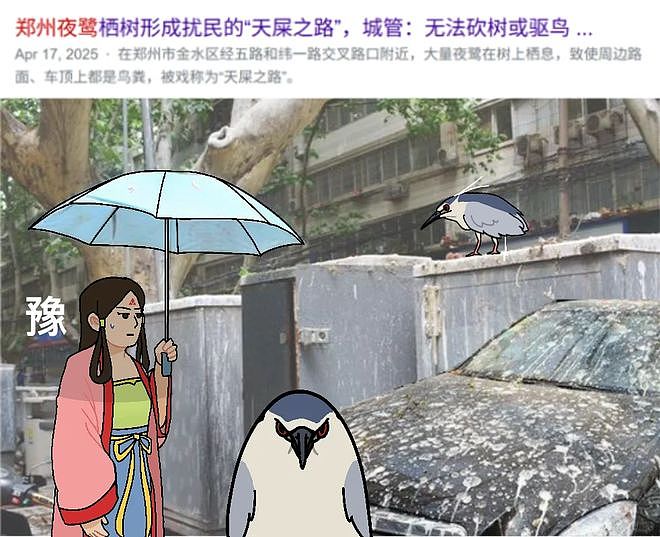 从路边一条逆袭成全网顶流的夜鹭，带抽象观鸟区走向大众？ - 40
