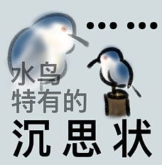 从路边一条逆袭成全网顶流的夜鹭，带抽象观鸟区走向大众？ - 37