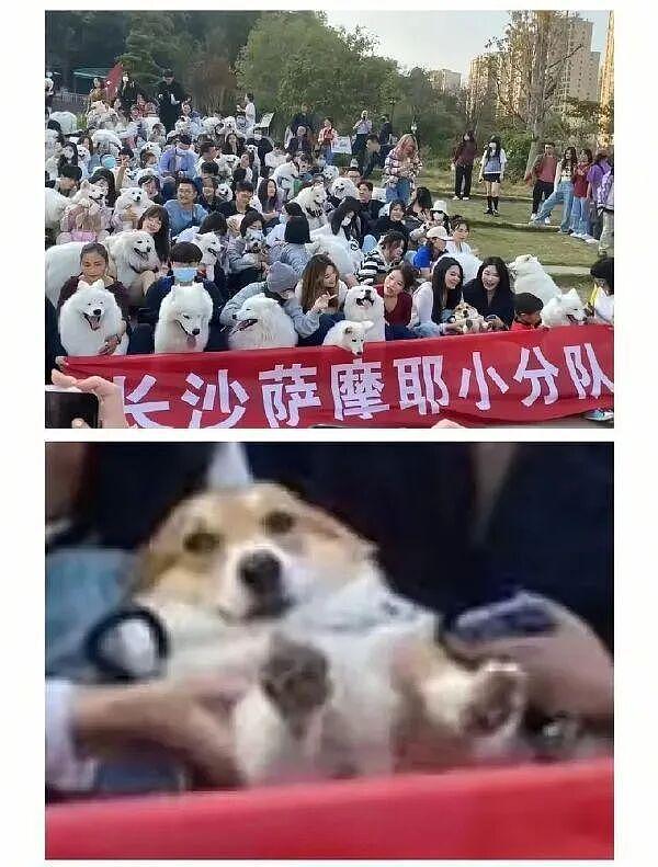 女生拍妩媚舞蹈视频结果腿抽筋意外爆火！姑娘你是那种人但不是那块料啊哈哈 - 16