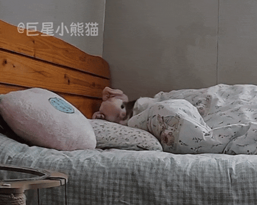 铲屎官周末懒床，监控拍下小猫咪独自起床的全过程，天啦噜怎么会有这么乖的小猫！ - 3