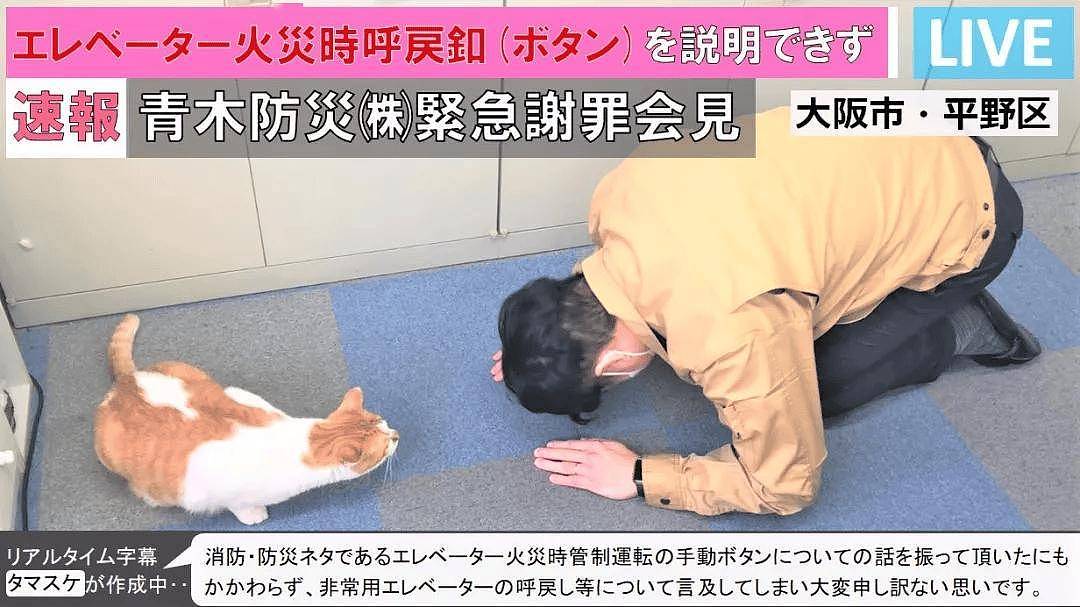 大橘骚扰公女员工惨遭逮捕,警察蜀黍笑哭:太胖了,抬不动! - 8