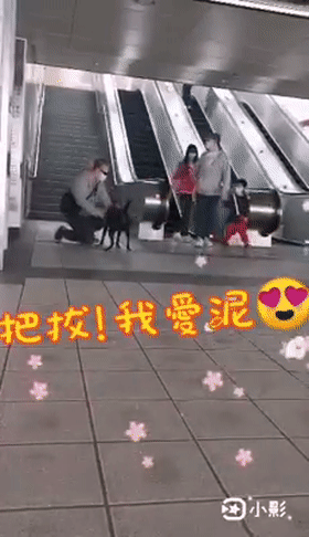 狗狗不知道爸爸在家办公，坚持在车站接他下班，于是爸爸只好特地来车站走一次流程…… - 4