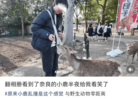女生拍妩媚舞蹈视频结果腿抽筋意外爆火！姑娘你是那种人但不是那块料啊哈哈 - 37