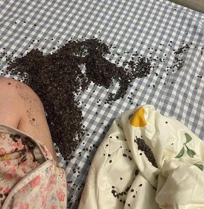 半夜听见咔呲咔呲的声音，挂吓人的……睁眼一看血压直接上来了！ - 2