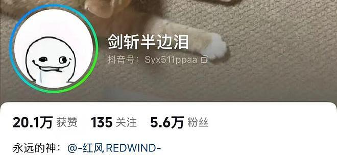 硬控百万网友的痴呆表情出圈后，原作者却深陷盗版和侵权？ - 46