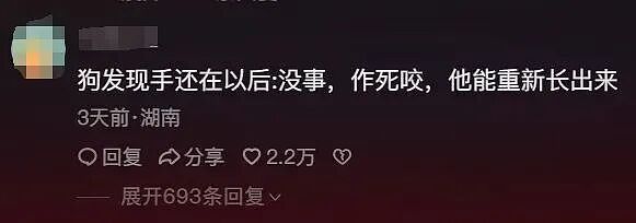 狗狗和主人玩时不小心把他的“手”咬下来了，狗子当场吓傻，眼神里都是狗生走马灯！ - 4