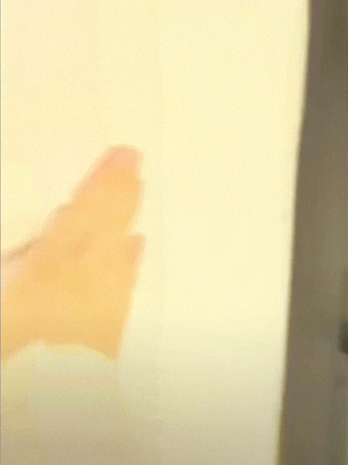 和男友吵架离家出走，但忘了带家里的狗，小姐姐竟找了个跑腿回家偷狗… - 1