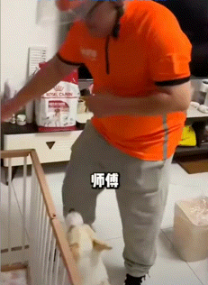 和男友吵架离家出走，但忘了带家里的狗，小姐姐竟找了个跑腿回家偷狗… - 2