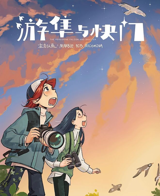 从路边一条逆袭成全网顶流的夜鹭，带抽象观鸟区走向大众？ - 10