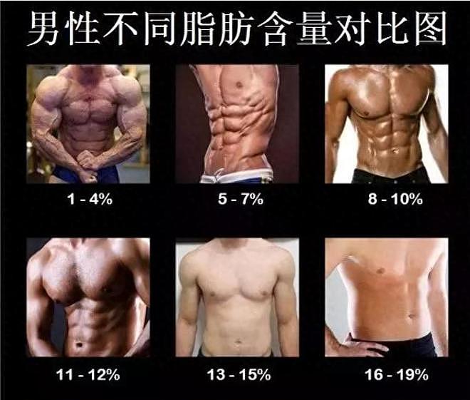 体脂率从29%减到20%，总结：5个可持续、健康的生活方式 - 1