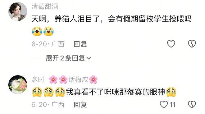 学姐毕业走了，流浪猫蹲在宿舍门口等了一整天，低着头不肯离开……喵：人，毕业了也不跟学长说一声 - 4