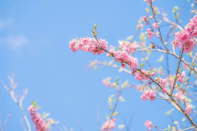 亲家母带孩子，儿媳妇让我每月给5000，我不同意，儿子帮儿媳为难我 - 1