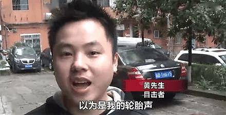 哈士奇从10楼跳下，砸坏路边奥迪，车损至少两万!二哈:不挑豪车砸对不起我的身价! - 1