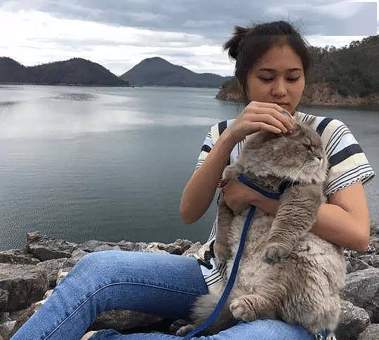 100斤的胖猫比煤气罐大引人纷纷围观拍照,美女惊呼:看到它的八块腹肌了!! - 13