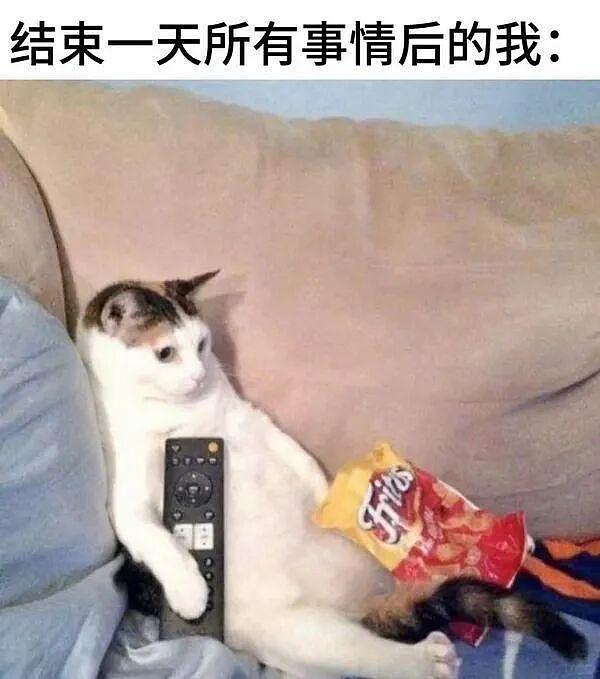 轮胎厂家找了两个女生直播带货，卖轮胎现场评论区全是备胎哈哈 - 8
