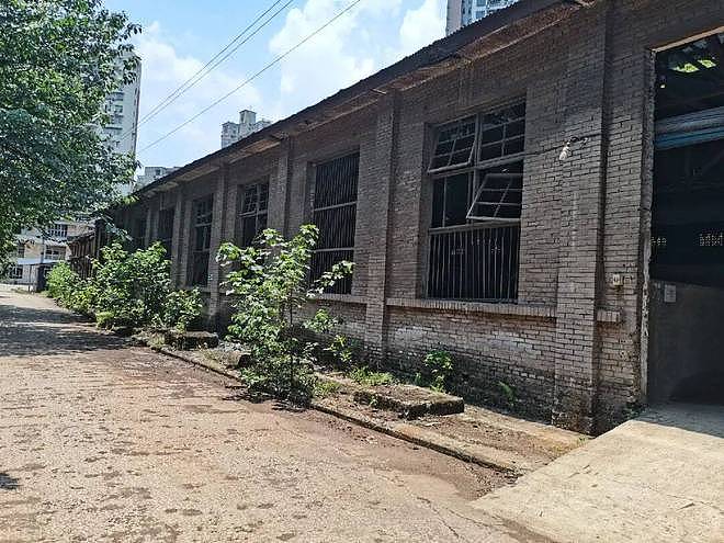 军备杂乱催生制式需求 中苏谈判引进SKS 本土化仿制迭代铸就经典 - 5