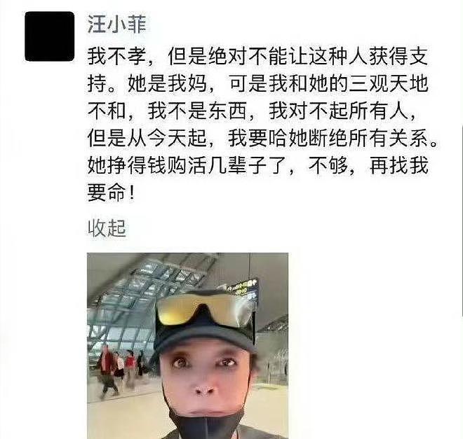 汪小菲被“封禁”之后：欲加之罪，何患无辞 - 1