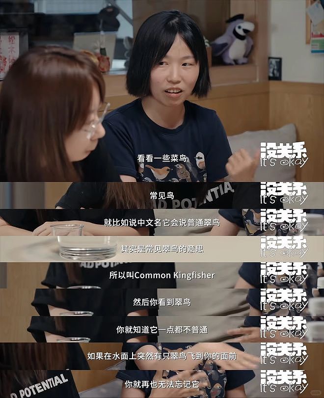 从路边一条逆袭成全网顶流的夜鹭，带抽象观鸟区走向大众？ - 46