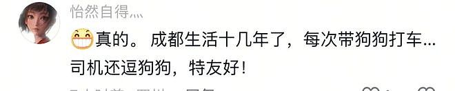 重庆街头出现离谱一幕：一群人围着给流浪猫扇风……网友：川渝猫已经活明白了！ - 8