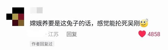 买了只软萌小白兔，结果3个月后主人傻眼：这真的是兔子，不是袋鼠？ - 5