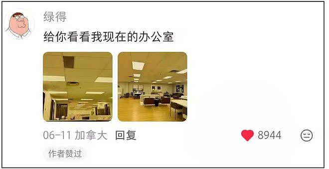 被嘲讽“时尚单品”的《后室》，是怎么狂赚三亿美金的？ - 40