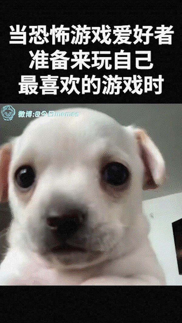 和刚交往的女生出去吃饭喝多了，结果后续反转把我酒醉都气清醒了555 - 6