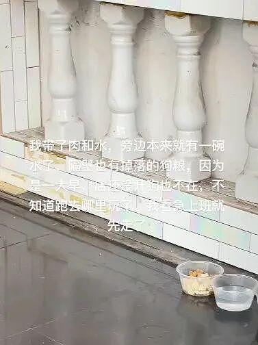 流浪狗每天趴在店门口睡觉，老板一个小动作让路人都点赞：它没进店，却被老板默默宠了好几年… - 3