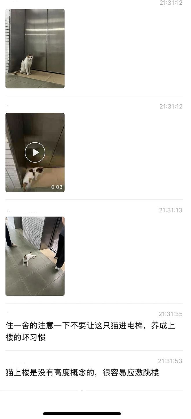 宿舍电梯贴出三遍警告：禁止此猫乘坐！真相曝光后，大家都被暖到了！ - 6
