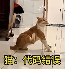 因为太爱喊“高考加油”，中国网友开始用“底层代码”解释全网抽象行为？ - 30