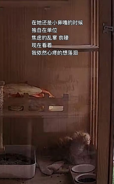 被裁员后别人收拾工位，她直接把大橘同事抱走了……这赔偿可还行？ - 3