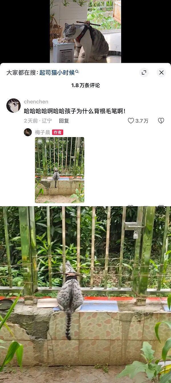KTV把女服务员全拉到广场舞现场揽客，这跳起舞来大爷笑呵呵大妈哭晕在厕所 - 20
