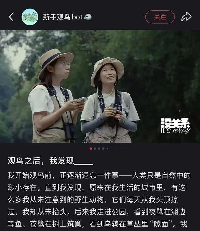从路边一条逆袭成全网顶流的夜鹭，带抽象观鸟区走向大众？ - 44