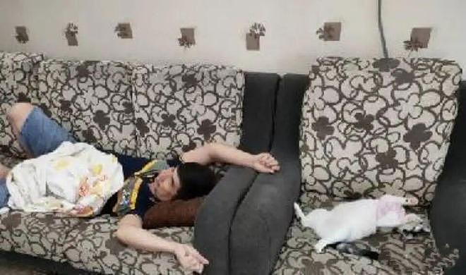 猫和老公一起看电视时同步回头，主人瞬间发现了真相：原来它们真的会偷偷拜师学艺… - 5