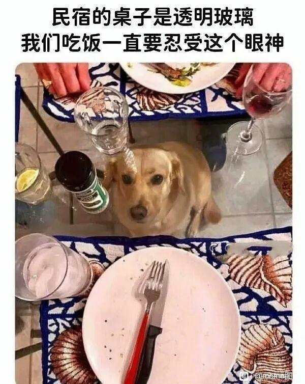 轮胎厂家找了两个女生直播带货，卖轮胎现场评论区全是备胎哈哈 - 5