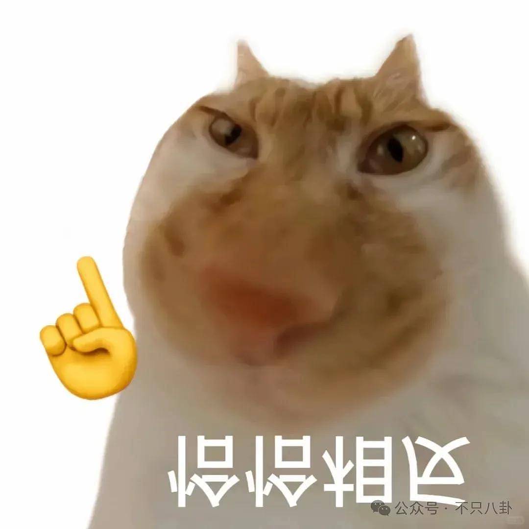 事业刚有起色她又恋爱了？上一场恋爱谈到最后发现男方根本不爱她…… - 2