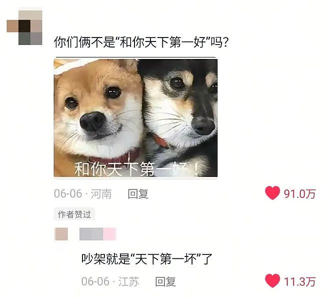 两只柴犬大半夜为了抢玩具吵架，主人让他们别吵着人睡觉，，没想到真安静了……但画面比吵架还离谱！ - 3