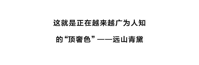 什么颜色真的有老钱感？ - 5