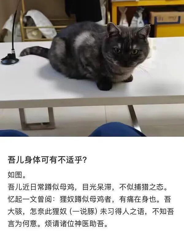 女生拍妩媚舞蹈视频结果腿抽筋意外爆火！姑娘你是那种人但不是那块料啊哈哈 - 14